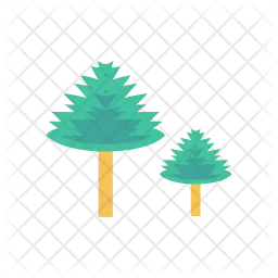 Christmas Tree  Icon