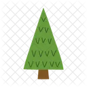 Christmas Tree Evergreen Pine Icon