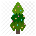 Pine Christmas Tree Christmas Icon