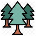 Christmas Tree  Icon