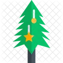 Christmas Tree  Icon