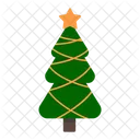 Pine Christmas Tree Christmas Icon
