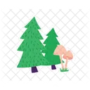 Christmas Trees Christmas Tree X Mas Tree Icon