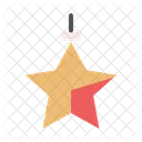 Christmass star  Icon