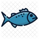 Chromis Fish  Icon