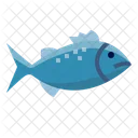Chromis Fish Fish Animal Icon