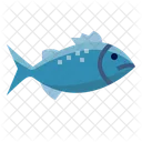Chromis Fish  Icon