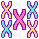 Chromosom  Symbol