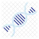 Chromosom DNA Gen Symbol