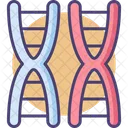 M Chromosom Chromosom DNA Symbol