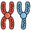 Chromosom DNA Gen Symbol