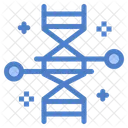 Chromosom  Symbol