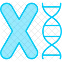 Chromosom  Symbol