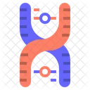 Chromosom DNA  Symbol