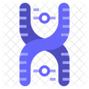 Chromosom DNA  Symbol