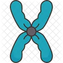 Chromosome Geneticsdna Structurecell Icon