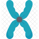 Chromosome Geneticsdna Structurecell Icon