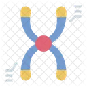 Chromosome Genetique Biologie Icône