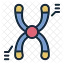 Chromosome Genetique Biologie Icône