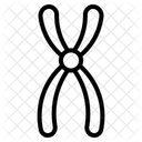 Chromosome  Icon