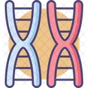 Mchromosome Chromosome Dna Icon