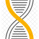 Chromosome Dna Genetic Icon