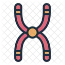 Chromosome Cell Biology Icon
