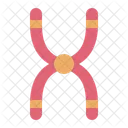 Chromosome Cell Biology Icon