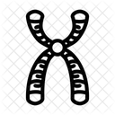 Chromosome Genetic Engineering Icon