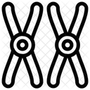 CHROMOSOME  Icon