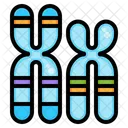 Chromosome  Icon