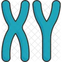 Chromosome Male Sex Icon