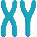 Chromosome Male Sex Icon