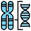 Chromosome Structure  Icon