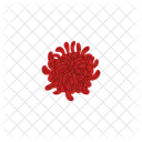 Chrysantheme Rouge Vecteur Icône