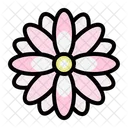 Chrysantheme  Symbol