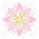 Chrysantheme  Symbol