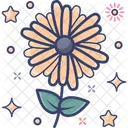 Chrysanthemum Flower Blossom Icon