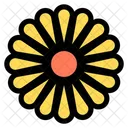 Chrysanthemum Icon