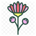 Chrysanthemum Flower Floral Icon