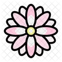 Chrysanthemum Wild Flower Farming And Gardening Icon