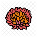 Chrysanthemum Blossom Spring Icon