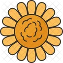 Chrysanthemum Flowers Herbal Icon