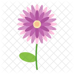 Chrysanthemum  Icon