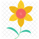 Chrysanthemum Daffodil Gladiolus Icon
