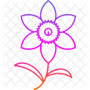 Chrysanthemum Daffodil Gladiolus Symbol