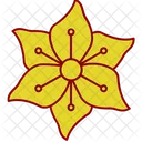 Chrysanthemum Daffodil Gladiolus Symbol