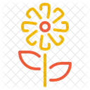 Chrysanthemum Flower Blossom Icon