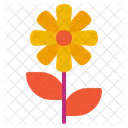 Chrysanthemum  Icon