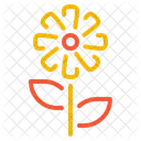 Chrysanthemum Flower Blossom Icon